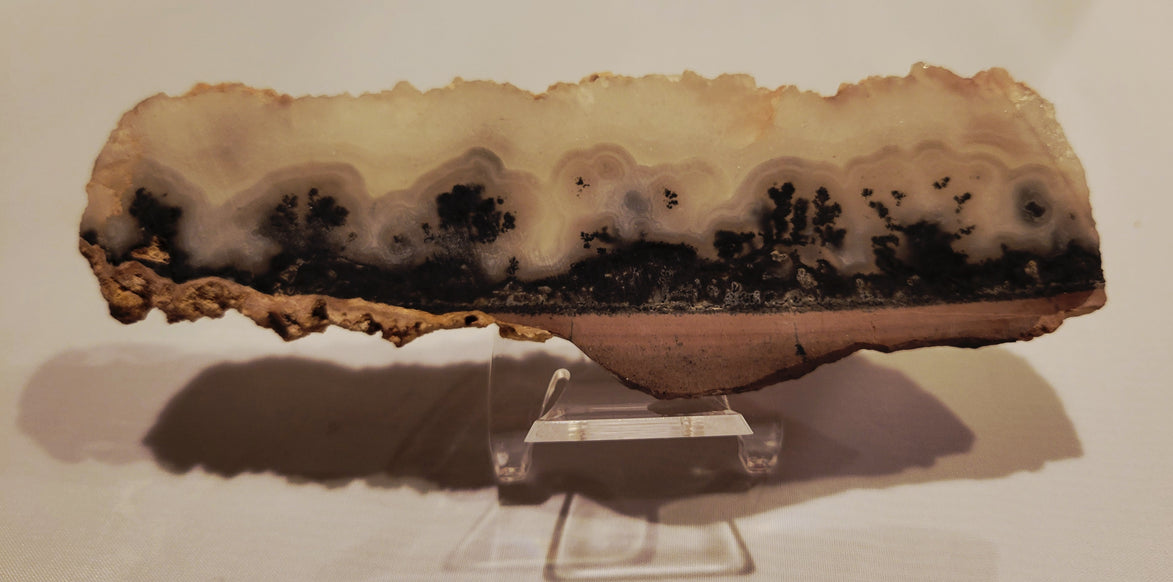 Plume Agate