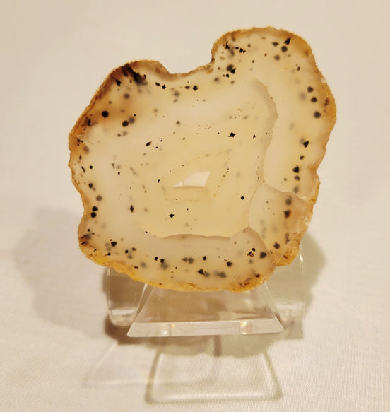 Montana Agate